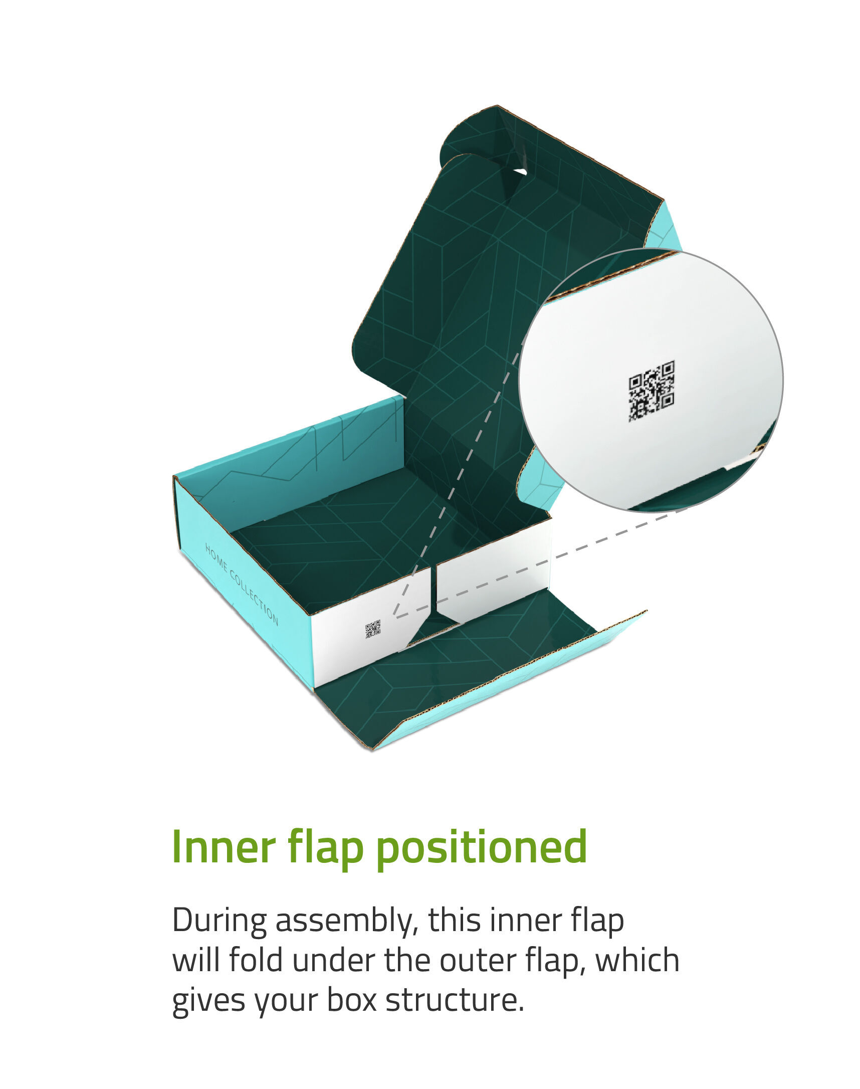 Mailer Box Flap