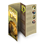 double parallel Brochure