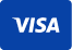 Credit Card Icon - Visa